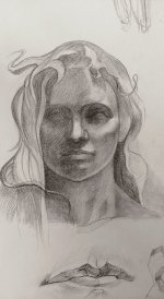 IMG.jpg