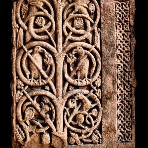 Tree of life.jpg
